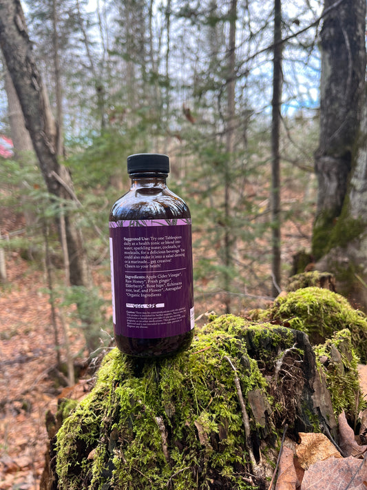 Elderberry Ginger Oxymel