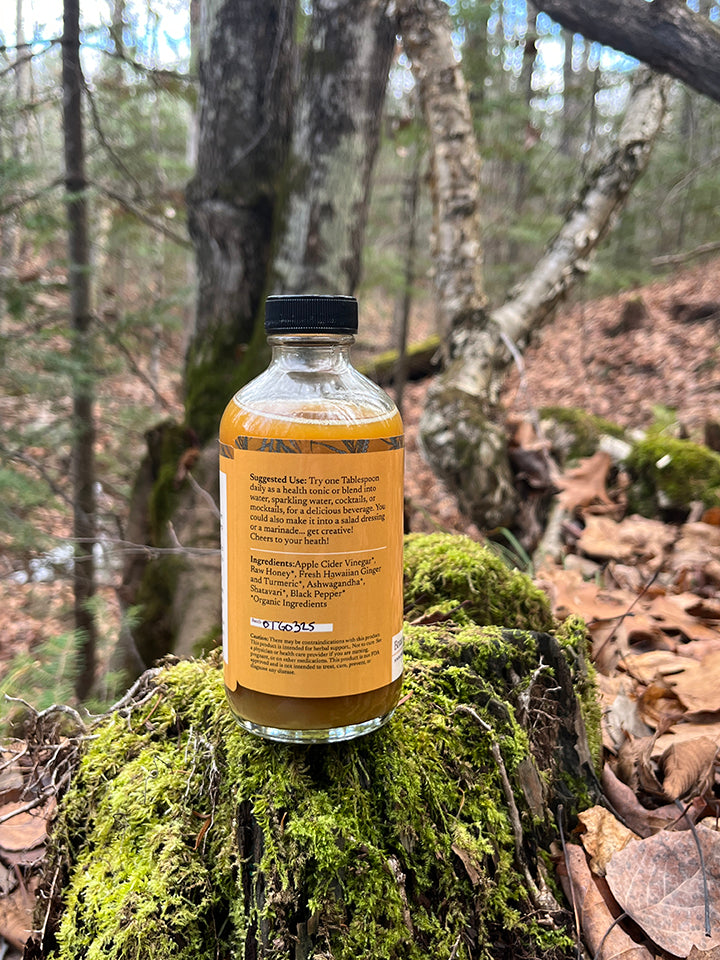 Turmeric Ginger Oxymel